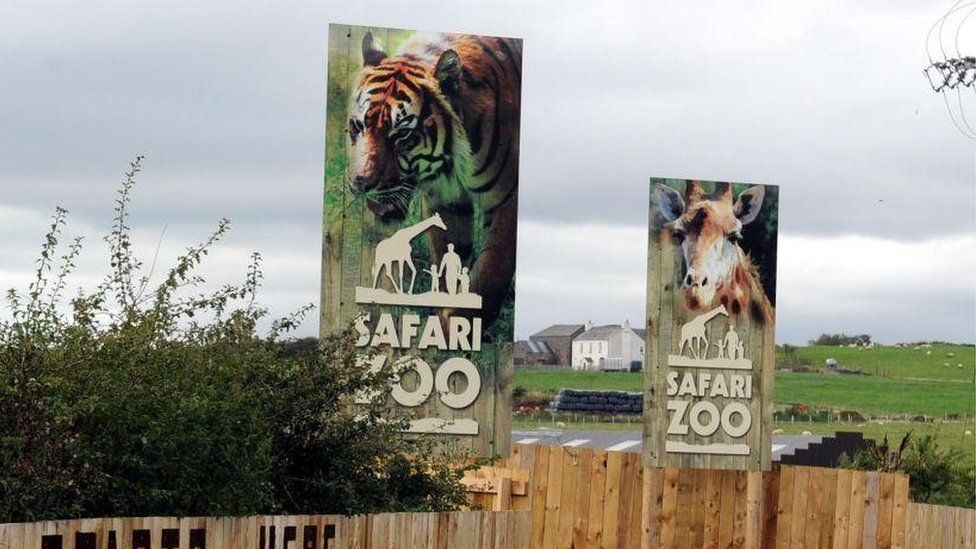 South Lakes Safari Zoo 'has shortfalls' in vet records - BBC News