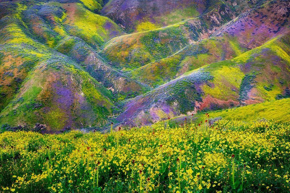Горный пейзаж в Национальном памятнике равнины Карризо, Калифорния, США