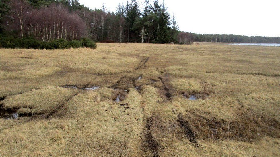Damage to Loch Fleet reserve