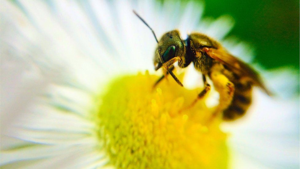 Your pictures: Tiny - BBC News