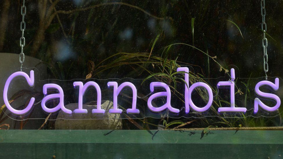 A sign 'Cannabis' seen in a Cannabis shop in Edmonton city center. On Monday, 9 August 2021, in Edmonton, Alberta, Canada.