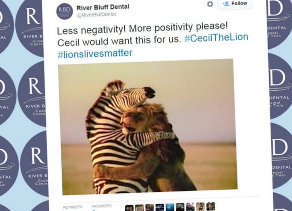 How the internet descended on the man who killed Cecil the lion - BBC News