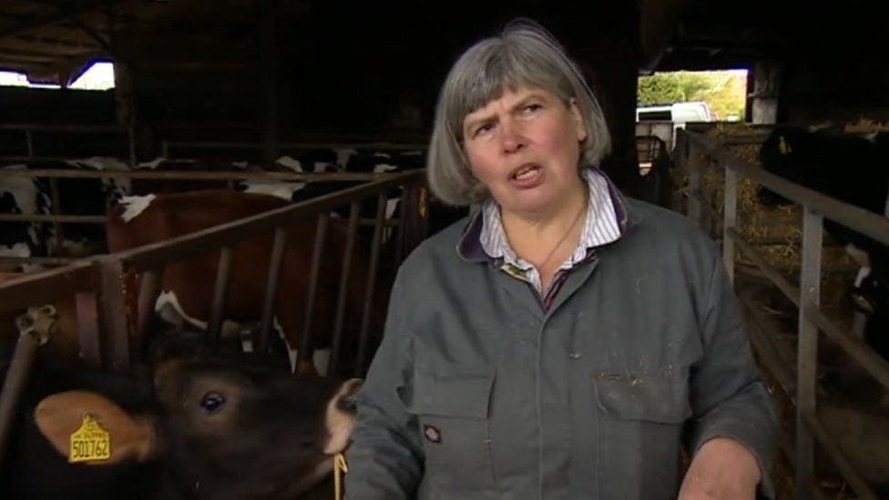 Sue Osborne, dairy farmer (and Conservative district councillor)
