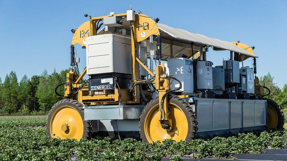 Harvest Croo's strawberry picker