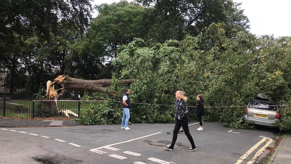 Weather Storm Francis lashes UK with gusts reaching almost 80mph BBC