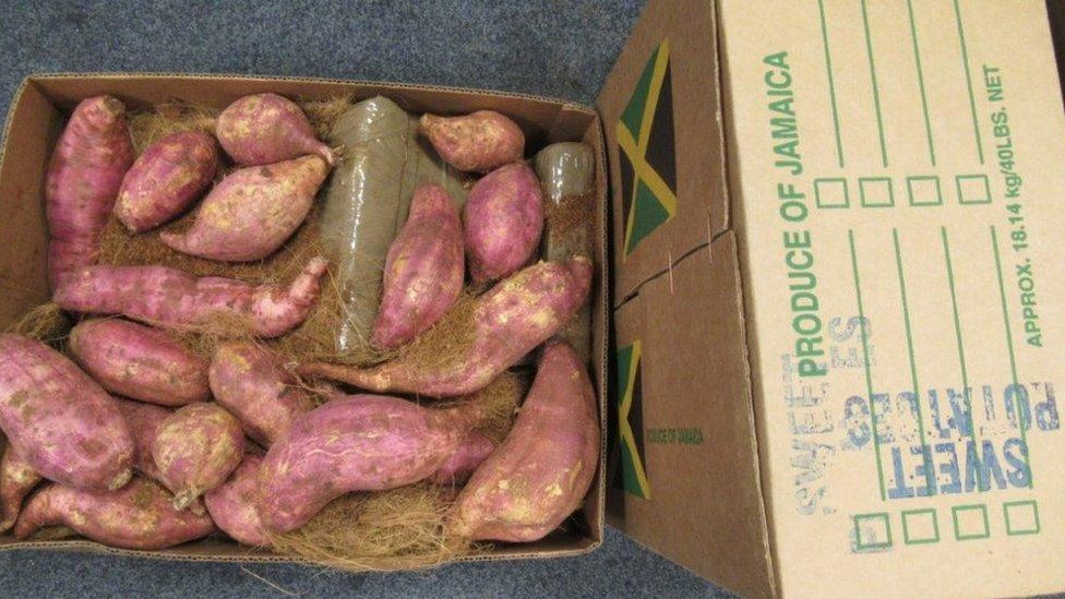 Cocaine hidden in sweet potatoes