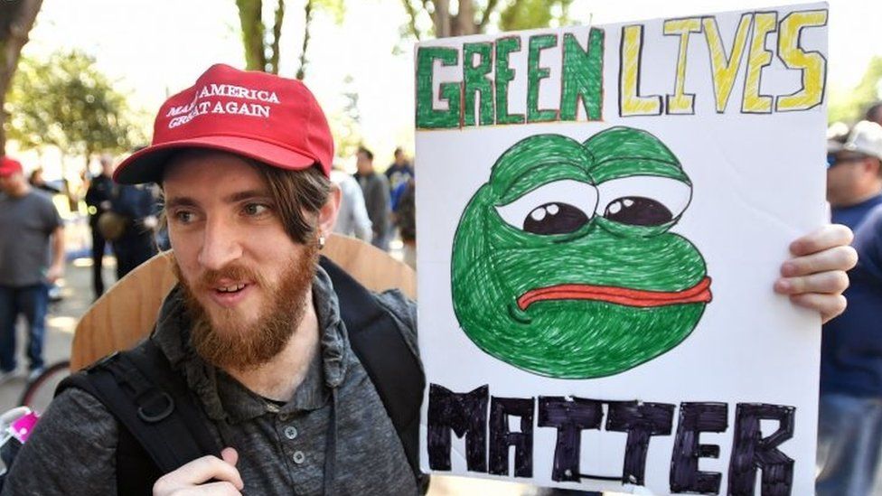 A protester holds a Pepe the frog sign during a rally in Berkeley, California (24 April 2017)