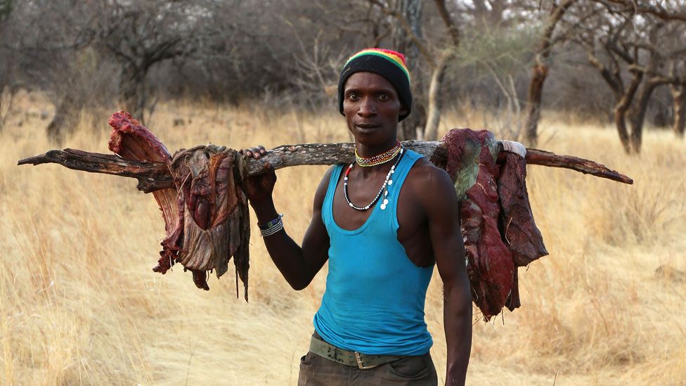 Hadza man carrying meat on a stick