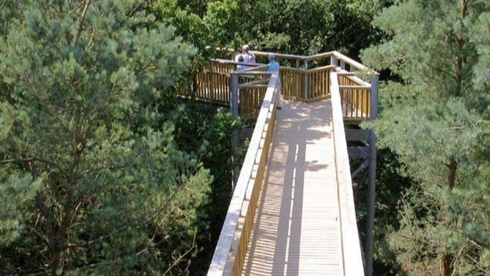 Tree Top Way in Northamptonshire