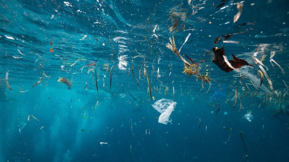 Plastic pollution 14 million tonnes of microplastic on ocean floor BBC Newsround