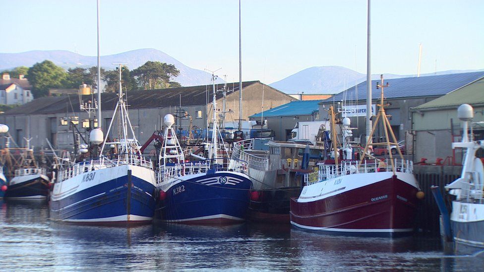 Fishing boats in Kilkeel