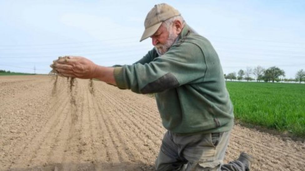 Spring drought in Germany - BBC Weather