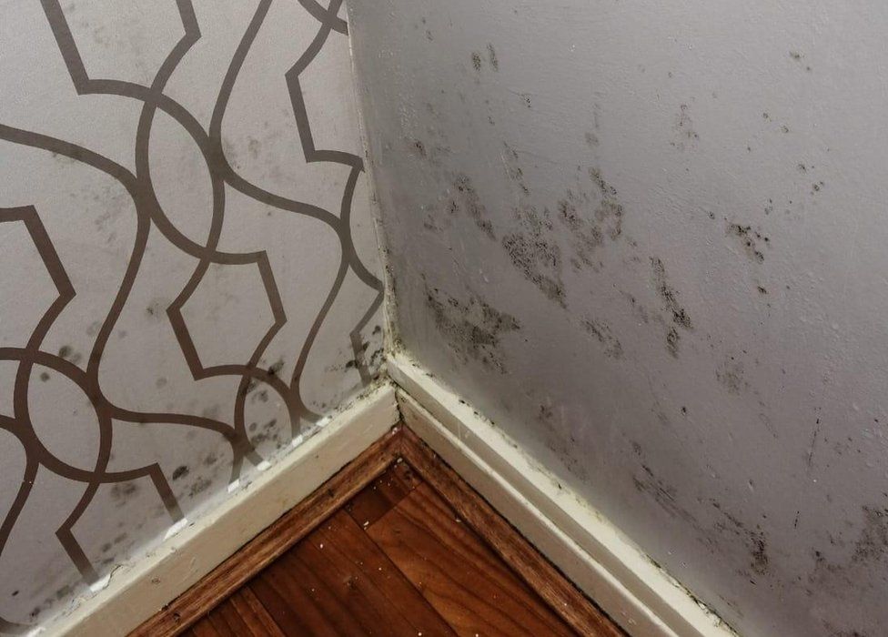 Mould in one of the affected flats