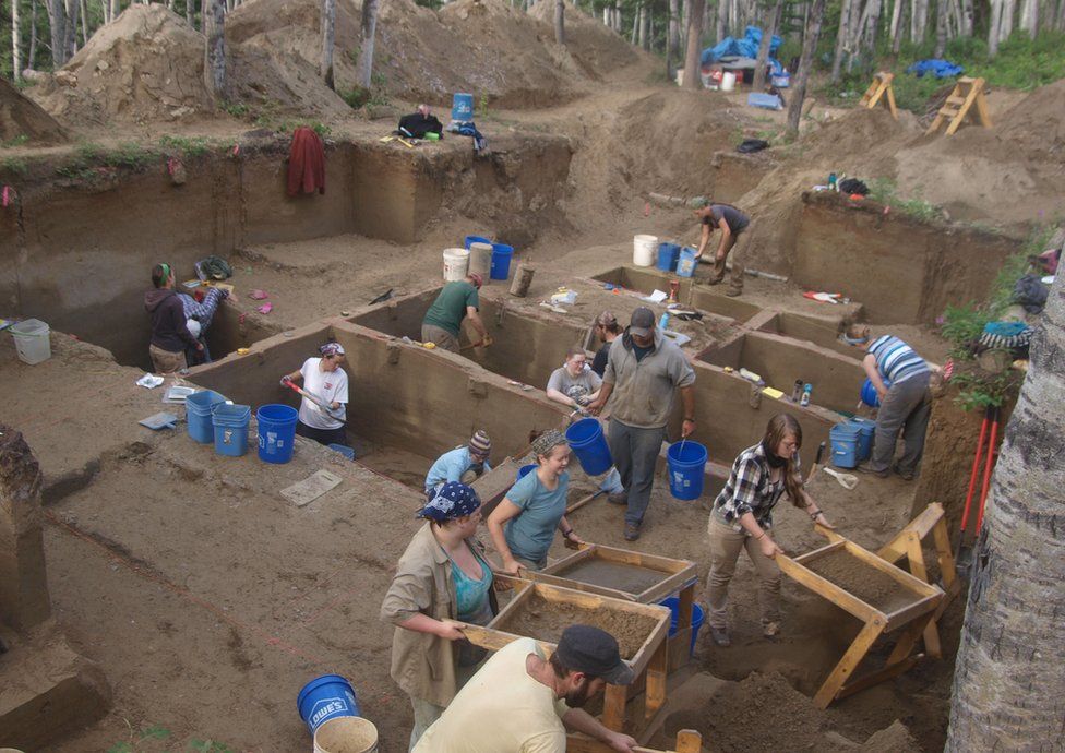 Excavations at the Upward Sun River archaeological site in Alaska