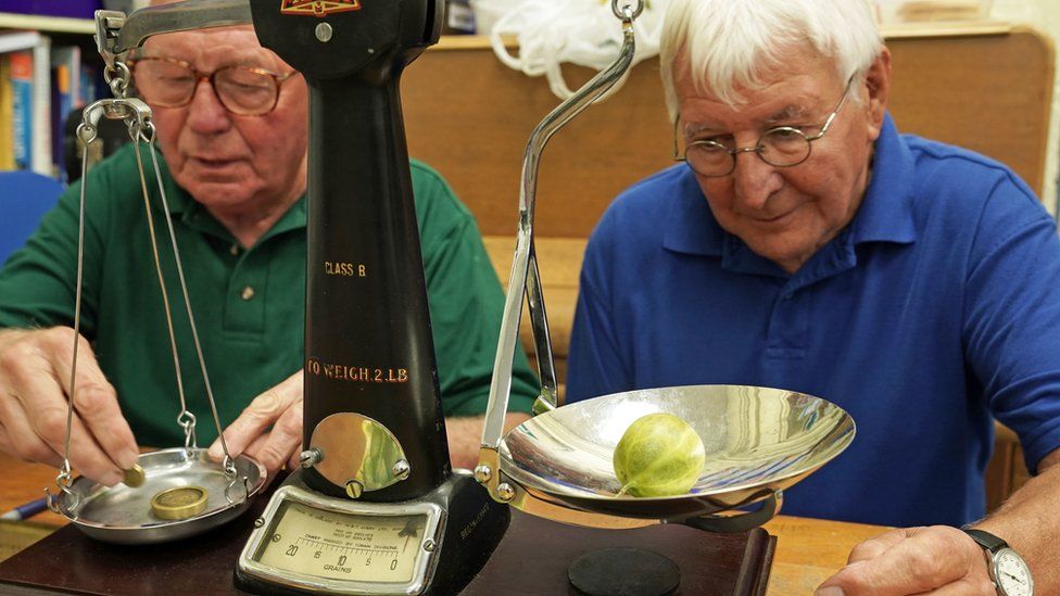 Judges at Egton Bridge Gooseberry Show in North Yorkshire