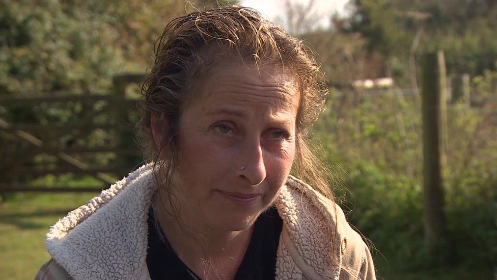 Dead deer left on the doorstep of badger campaigner - BBC News