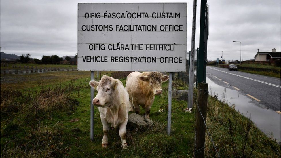 Cows stand beneath a sign for the disused Customs Office along the Irish border