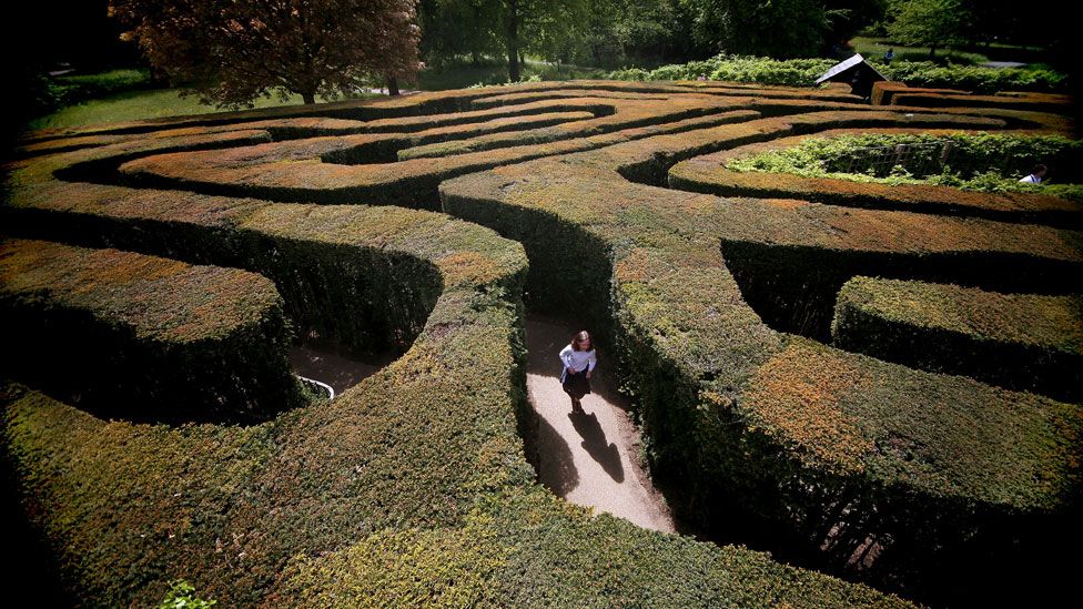 Someone in the Hampton Court Palace maze