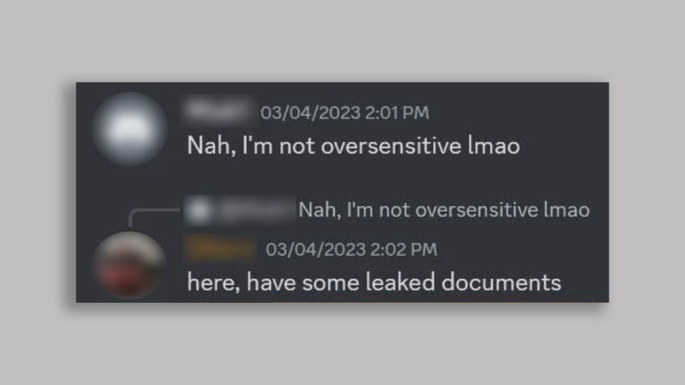 Скриншот Дискорда: «Нет, я не слишком чувствителен, ИМАО». "Вот, утекли документы"