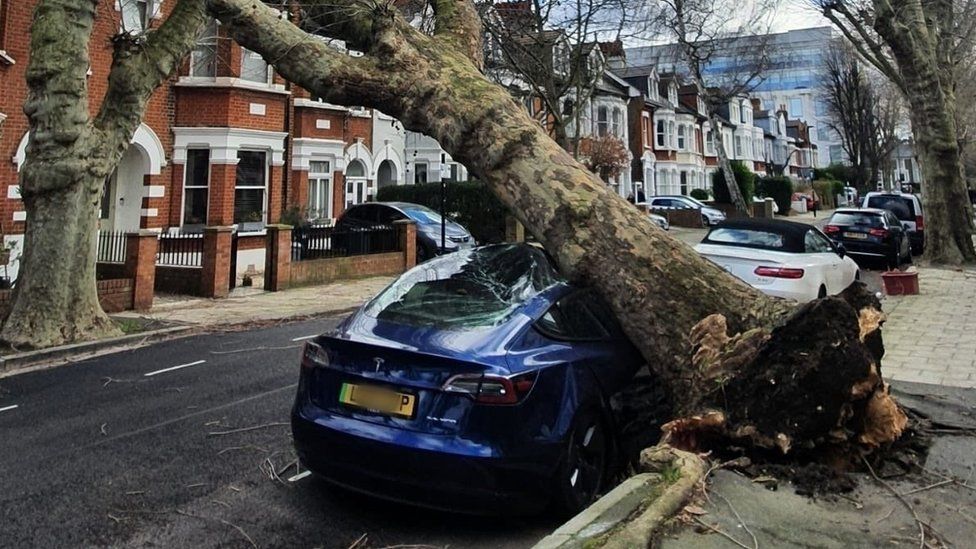 A fallen tree on a car in London, posted by Valerie Leon on 18 February 2022
