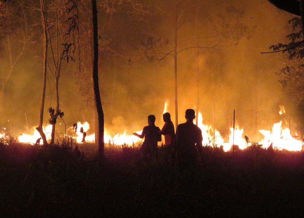 This handout photo taken on 25 September 2015 and released on 9 October 2015 by the Borneo Orangutan Survival Foundation shows fires continuing to rage late at night at the Samboja Lestari Orangutan Reintroduction Program site in Samboja, in Indonesia"s East Kalimantan