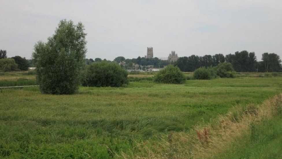 View of Ely