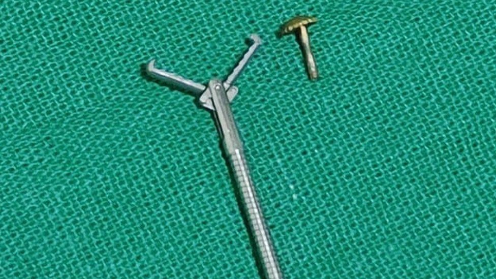 The forceps and the nose pin