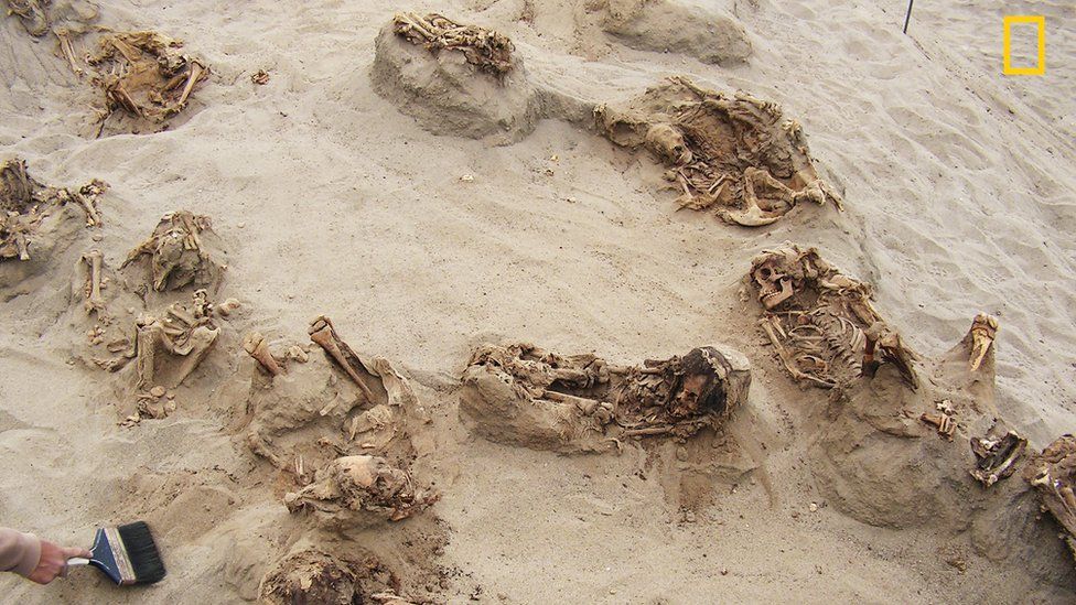An archaeologist uses a brush in the sand between the exposed ribcages of the victims