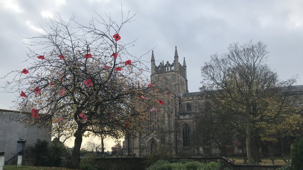 Poppies on a tree in Dunfermline