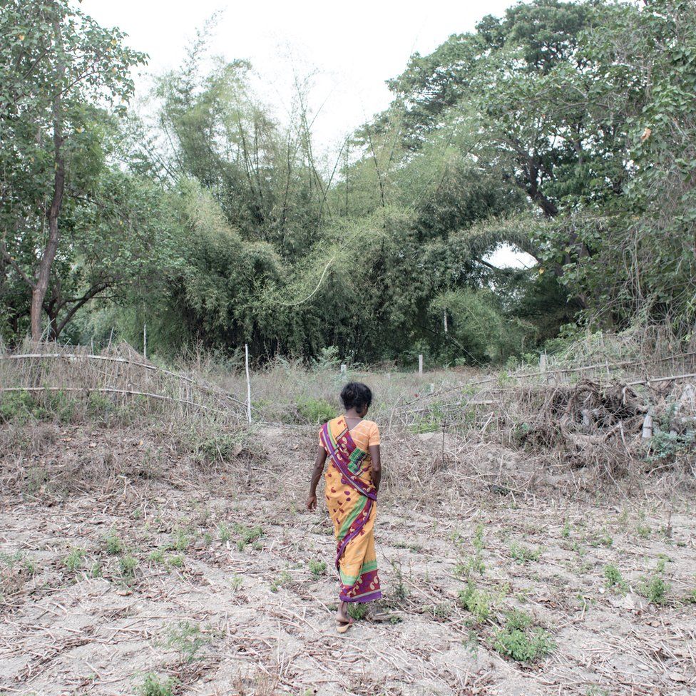 Mallika standing in the middle of the field, where her husband Pallicham killed himself in January 2017. Laalgudhi village, Tamil Nadu, India.