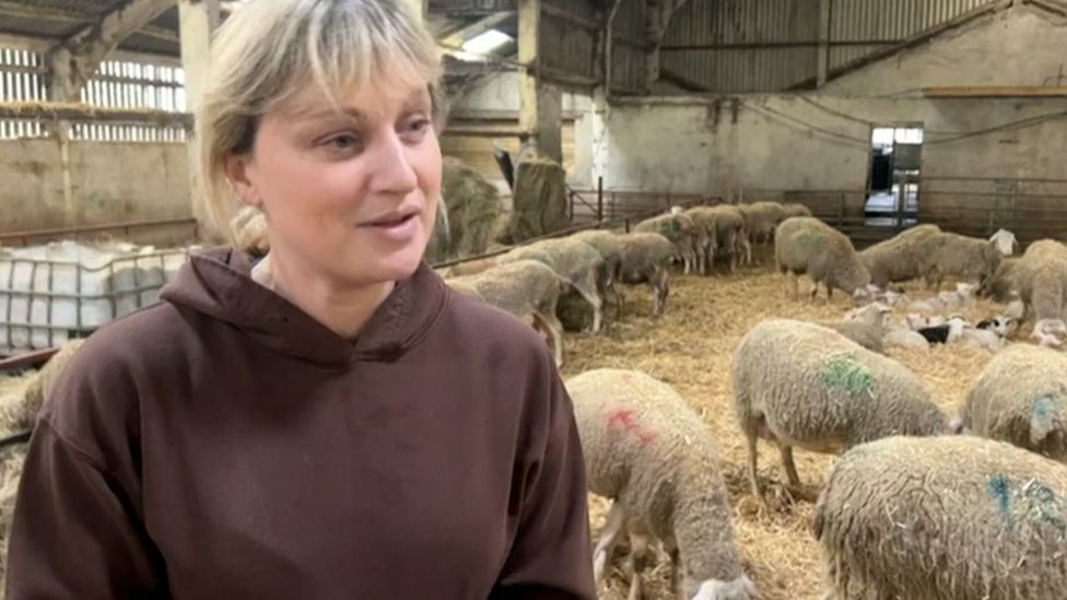 Sheep farmer Nicola Robinson