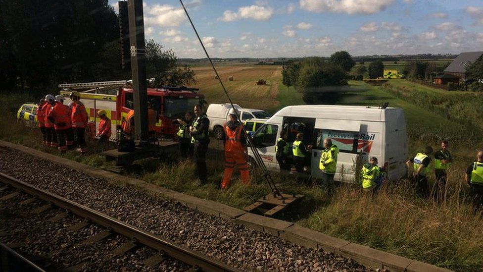 Eleven cows killed in train strike near Peterborough - BBC News