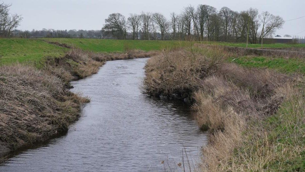 The section of the River Wyre where a body was recovered