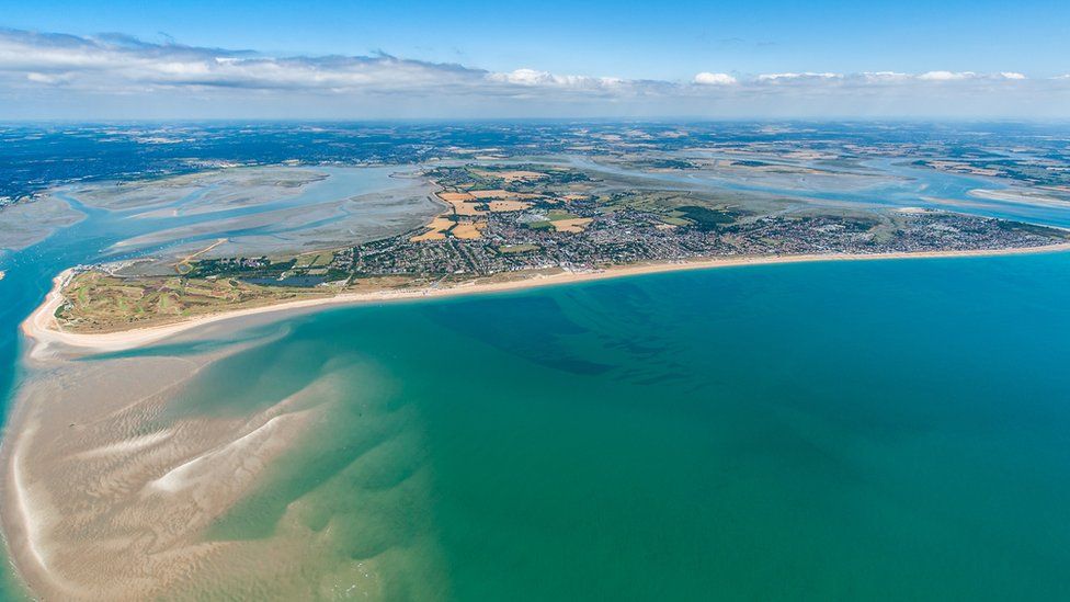 Solent Seascape Project launched to restore marine habitats - BBC News