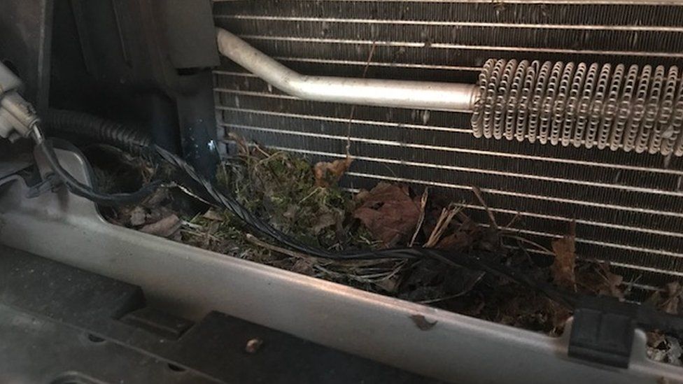 The nest that was behind the grill