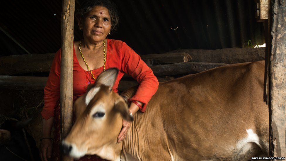 Nepal earthquakes: What I saved from the rubble - BBC News