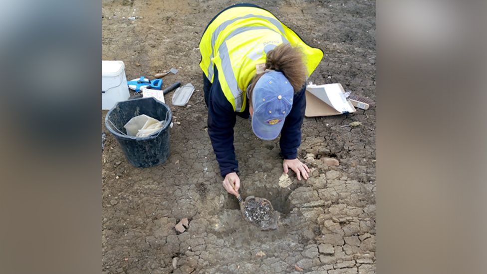 Archaeologist uncovering top of human skull