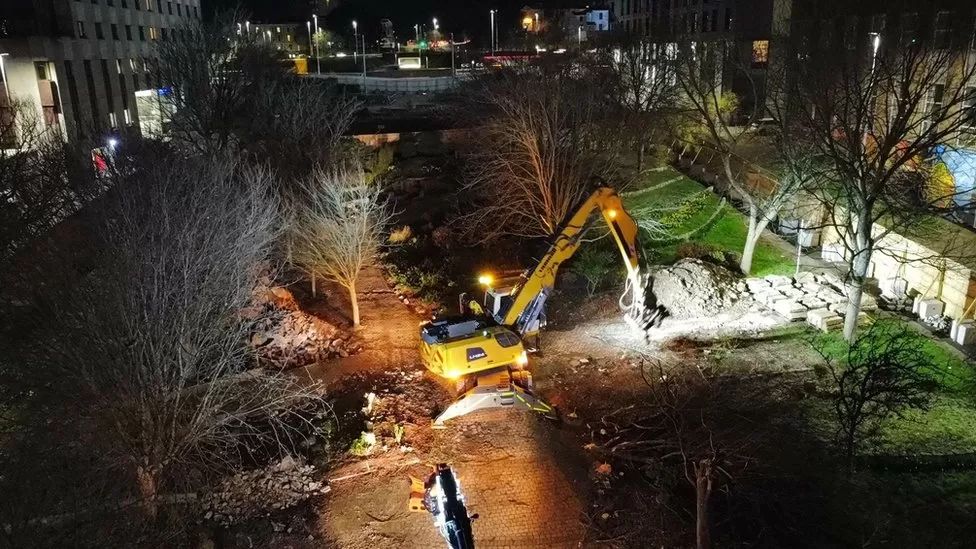 More than 200 trees proposed for Plymouth after felling BBC News