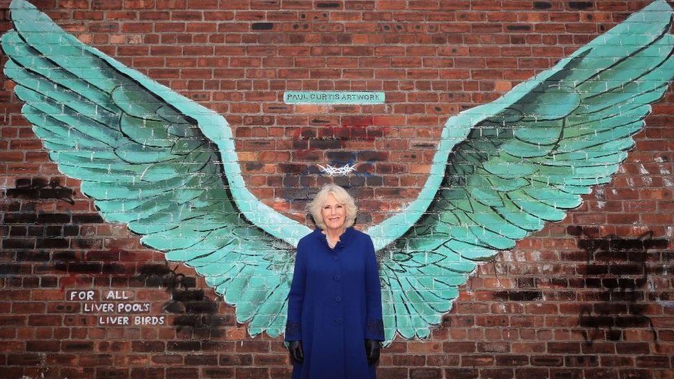 Duchess of Cornwall with Liver Wings art work