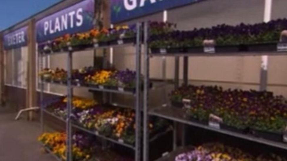 Coronavirus Garden centres switch to virtual personal shopping BBC News