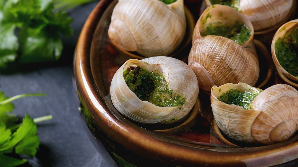 Zut alors! The Americans who are farming edible snails - BBC News