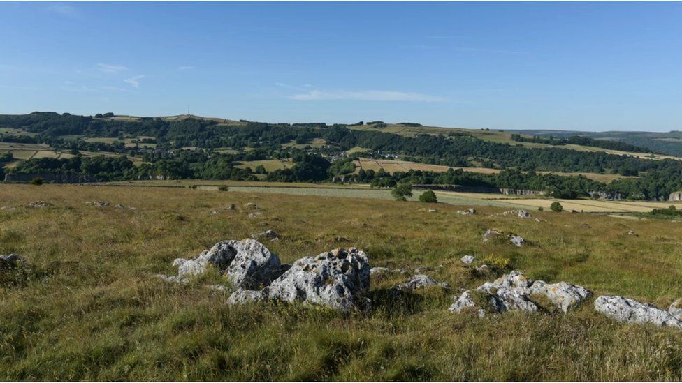 National Trust Peak District meadows