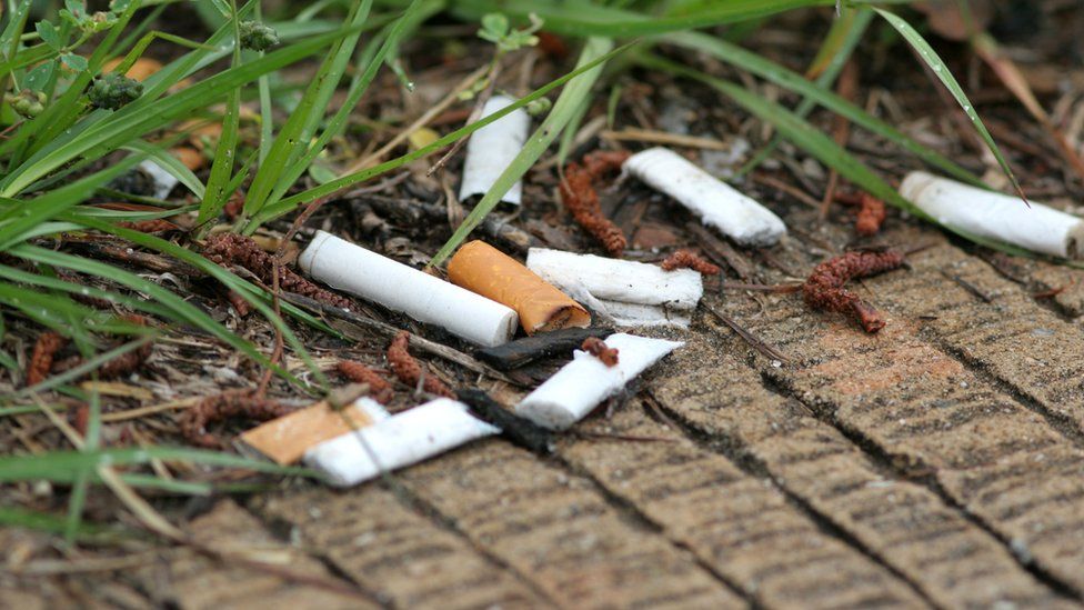 Cigarette butts on grass