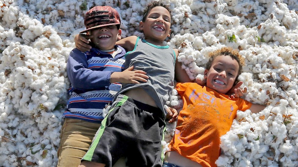 Egyptian children lying on a cotton crop on a farm in Fayoum, southern Cairo, Egypt - 19 September 2021