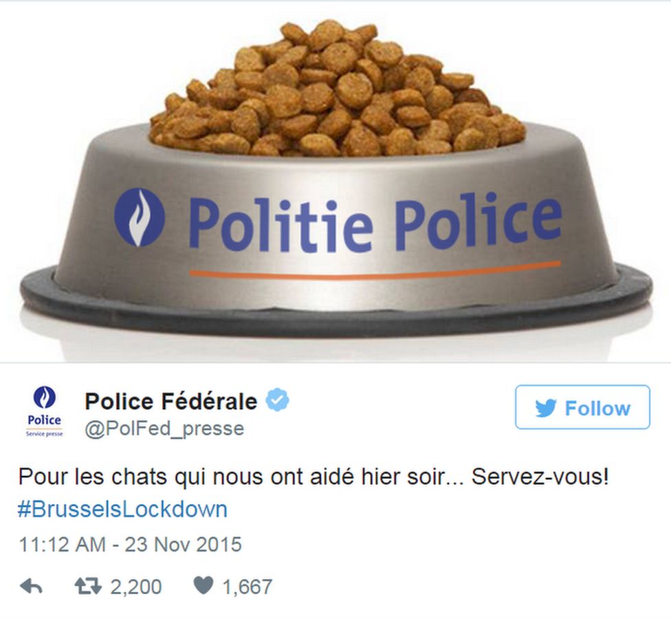 Belgium Federal Police tweets: “To all the cats who helped us last night: help yourselves!”