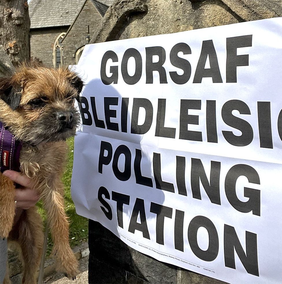 DogsAtPollingStations: Political pups - BBC News