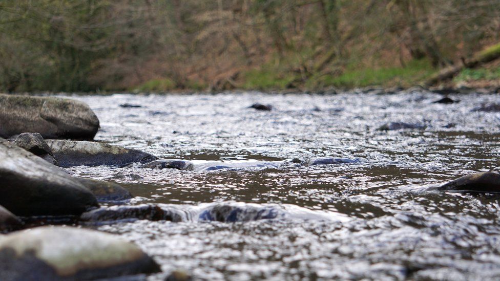 River Goyt in Marple