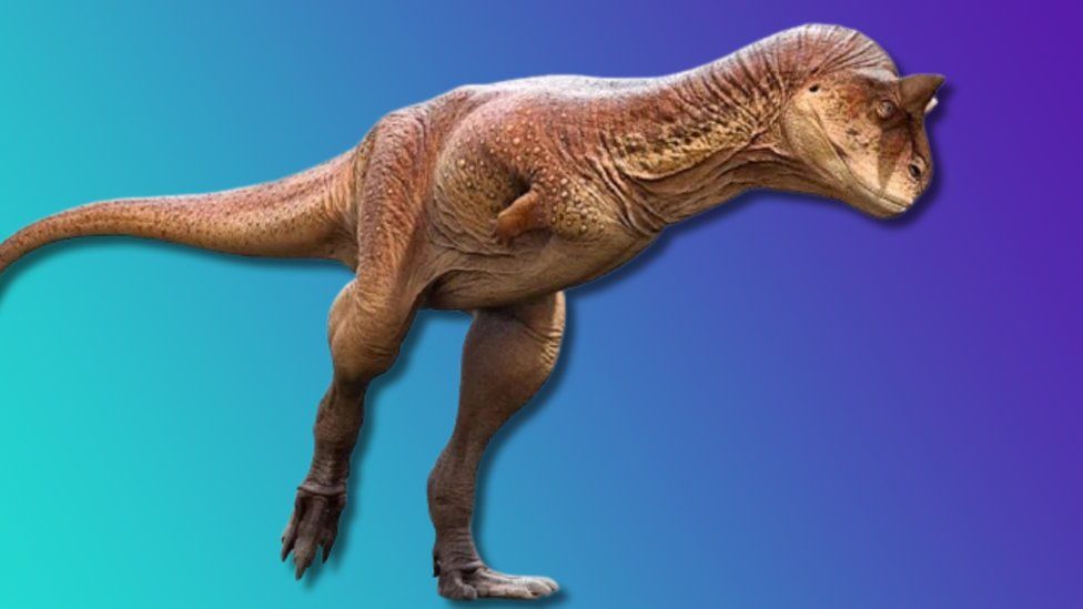 Rare Fossilised Skin Of Strangest Dinosaur Ever Discovered Bbc