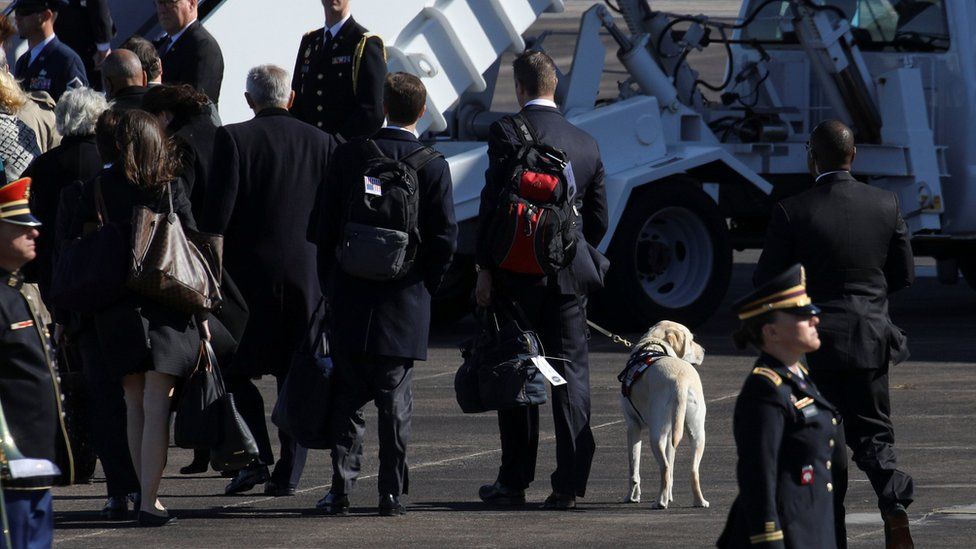 Sully the dog boarding Air Force One