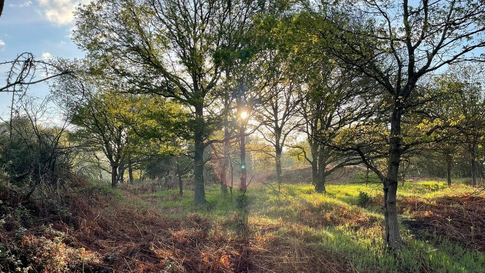 Middlewick Ranges